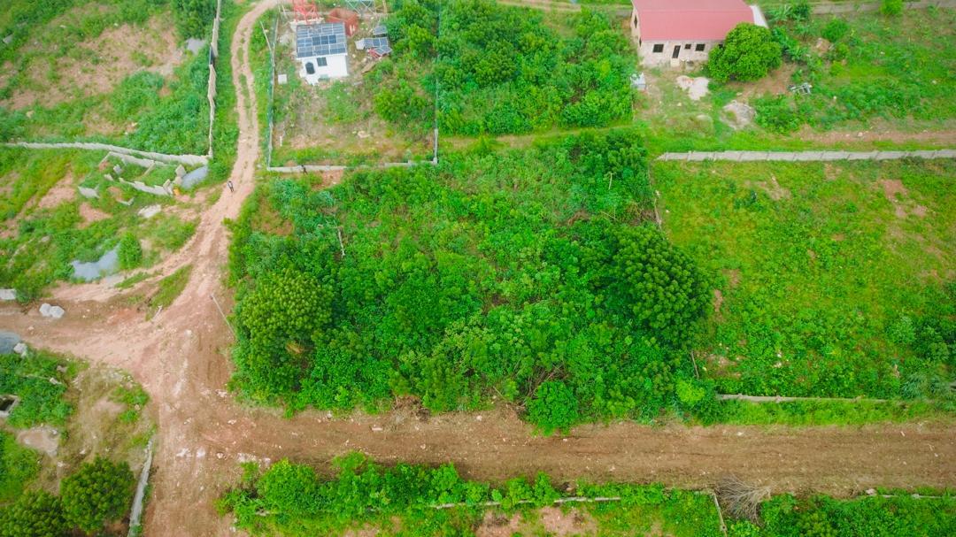 Hillside Land – Brekuso, Akuapim South, Eastern Region, Ghana