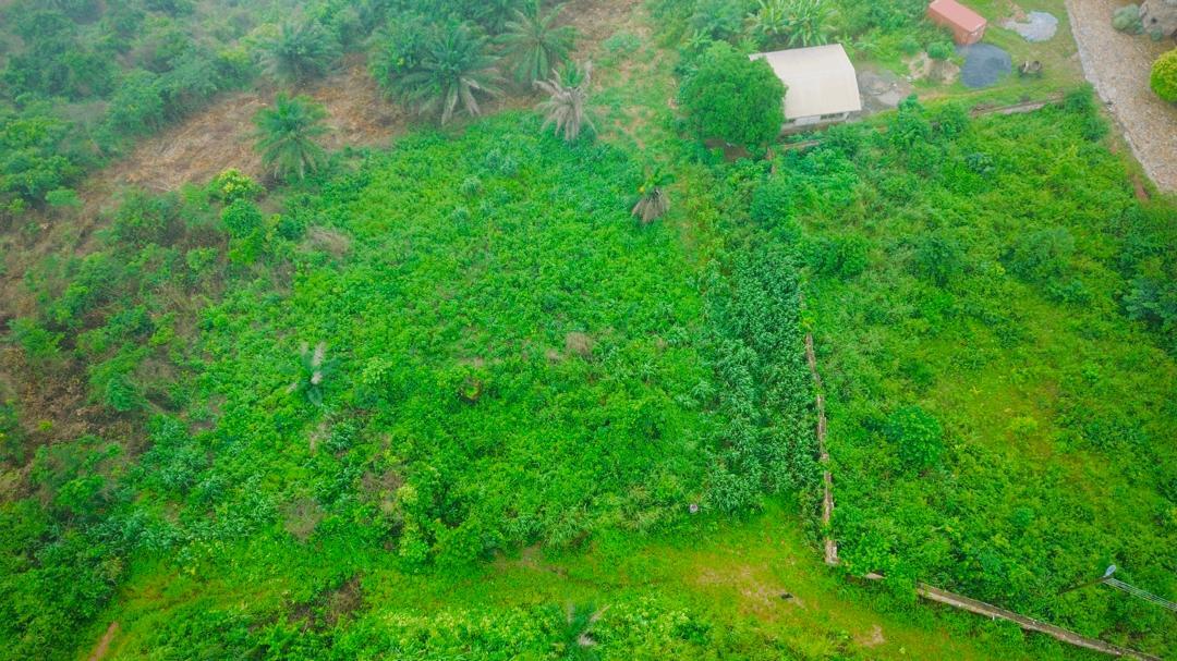 Hillside Land Brekuso, Akwapim South, Eastern Region