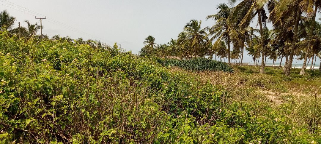 Beachfront land Pebi Saltpond Central Region Ghana