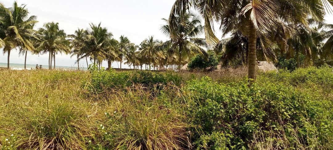 Pebi Saltpond coastline property Ghana