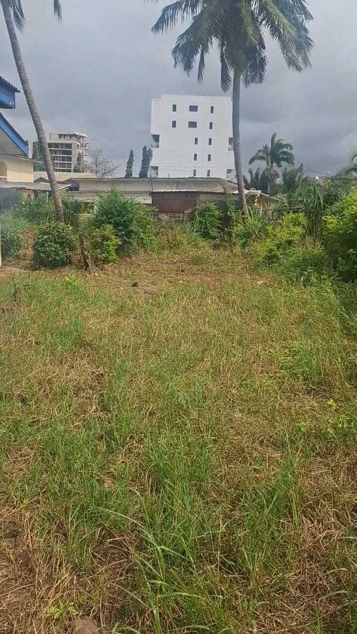Gold Lion International property listing