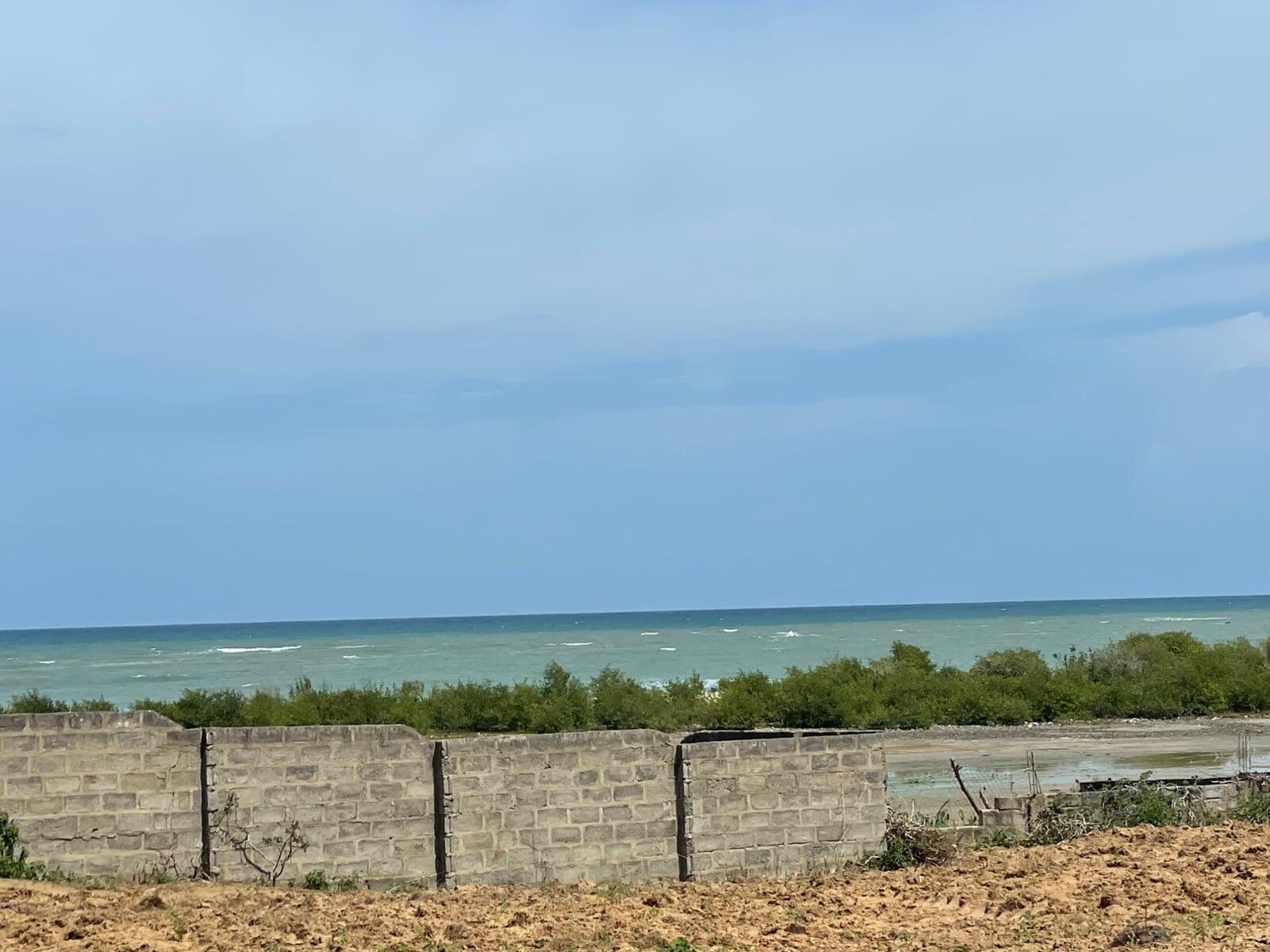 Gold Lion International property listing